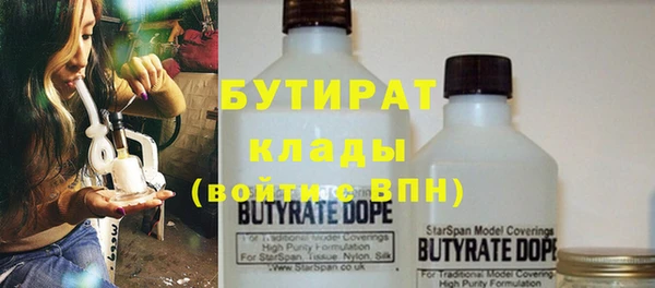 индика Аркадак
