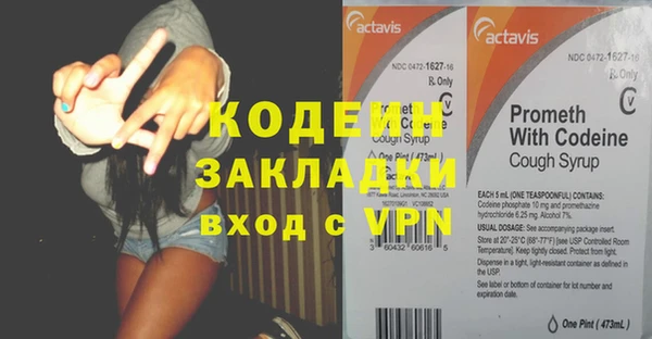 индика Аркадак
