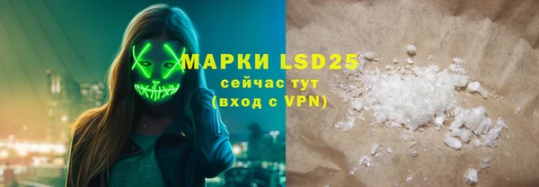 индика Аркадак