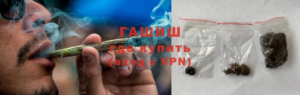 индика Аркадак