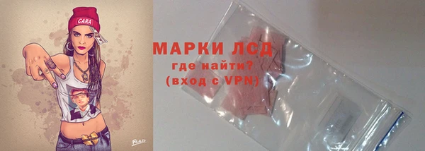 индика Аркадак