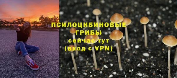 a pvp Арсеньев