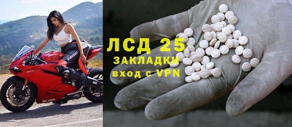 индика Аркадак