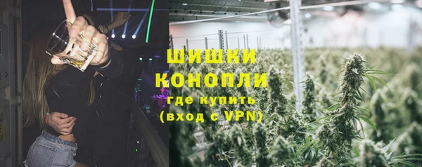 индика Аркадак