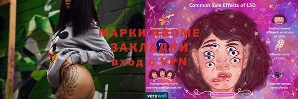 индика Аркадак