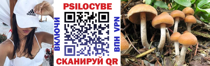 Галлюциногенные грибы GOLDEN TEACHER Пудож
