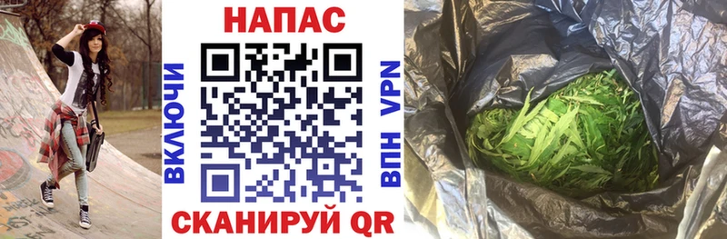 Бошки Шишки THC 21% Пудож
